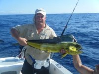 Copy of SEALINE 001.jpg