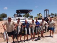 Copy of SEALINE 004.jpg