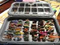 Carp flies.jpg