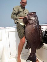 IMG_0374.jpg
