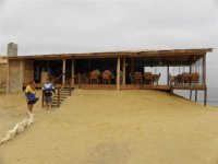 Angola 057 (Small).jpg