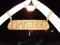 flamingo (Small).JPG