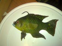 27042010184.jpg