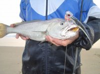 IMG_3862.JPG