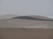 IMG_3983.JPG