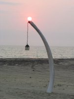 IMG_4473.JPG