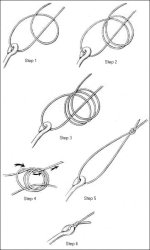 Centauri knot (Fig8).gif