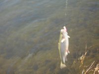 DSC01686.JPG