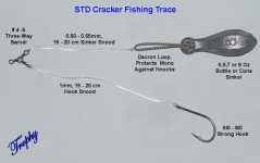 STD Cracker JPG.jpg