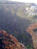140820102389.jpg