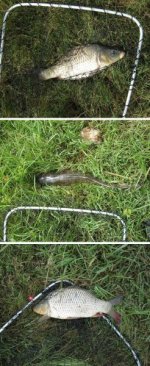 Roodeplaat2011 0108.jpg