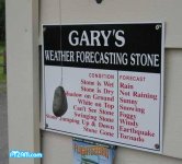 Weather Forcast.jpg