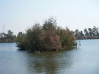 the island.JPG