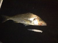 03092010027.jpg