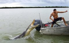 croc2DM0603_428x269_to_468x312.jpg