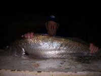 COB CAUGHT 27-10-2008 002.jpg