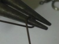 Tiger Trace Step 2.JPG