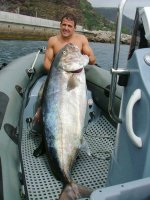 tomas_freitas_fish.jpg
