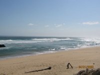 nogplett 016.JPG
