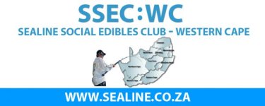 ssec_banner11.jpg
