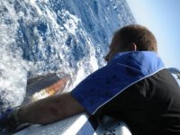 Black Marlin.jpg