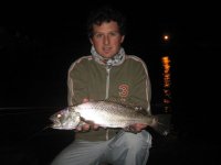 IMG_0206.jpg