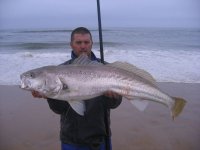 Februarie 2011 029.jpg