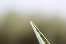IMG_6351.jpg