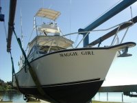 Maggie bow.JPG