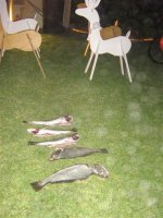 23-12-2010 160.jpg