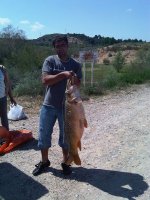 IMG00596-20110417-1434.jpg