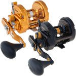 Torque B & G.jpg