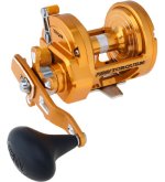 Torque G.jpg