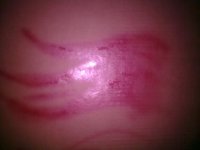 23082011_002.jpg