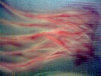 23082011_014.jpg