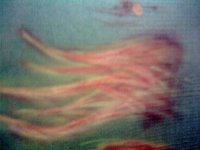 23082011_016.jpg