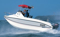 Jan08_Seacat_565fc_01.jpg