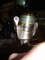 DSC01410.JPG
