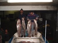 Dawood and Gamie 20kg kob.jpg