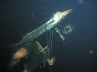 Night spearing 002.jpg