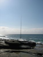 IMG_0301.jpg