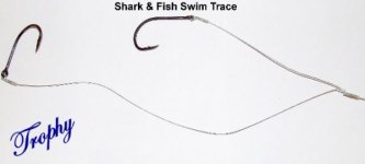 Shark & Fish Swim Trace 001.jpg