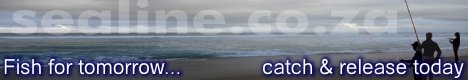 banner21.jpg