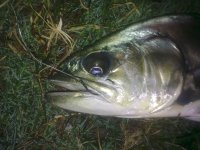 16032011458.jpg