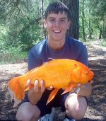 2.26 kg Gold fish.jpg
