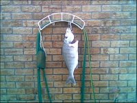 Image023.jpg