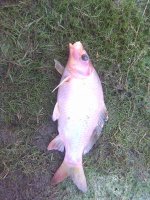 Image0010.jpg