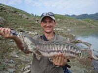 1.96kg Toman 3 resize.jpg