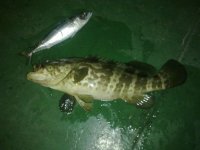 27052011117.jpg