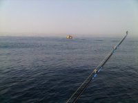 IMG00070-20110310-0716.jpg